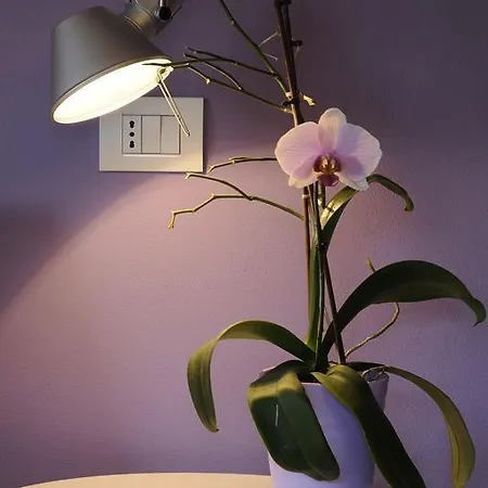 Casa Lucesole Fontanile