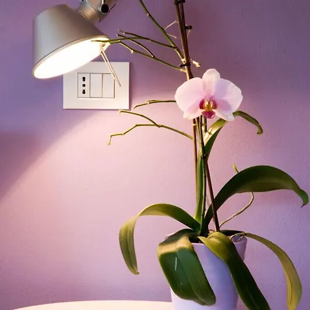 Casa Lucesole Fontanile