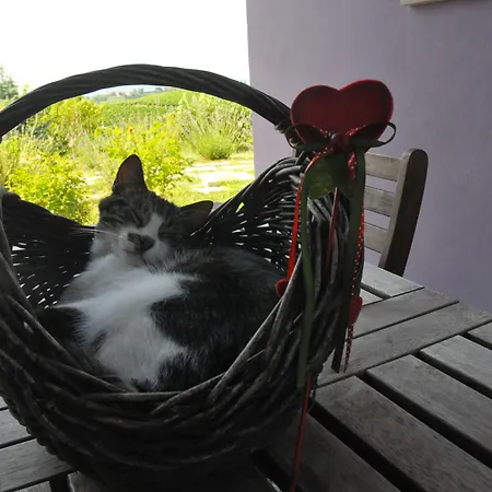 Kır Evi Casa Lucesole Fontanile