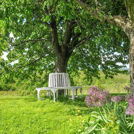Country house Casa Lucesole Fontanile