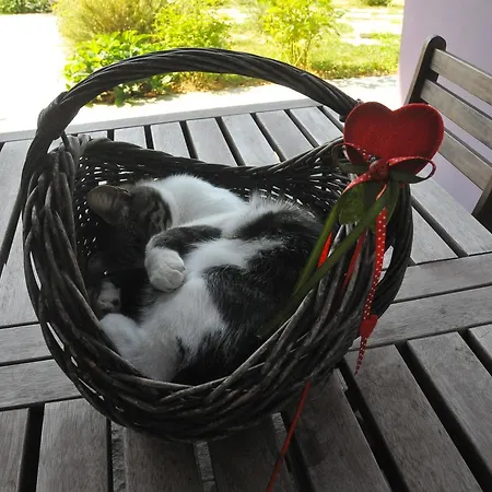 Casa Lucesole 컨트리하우스 Fontanile