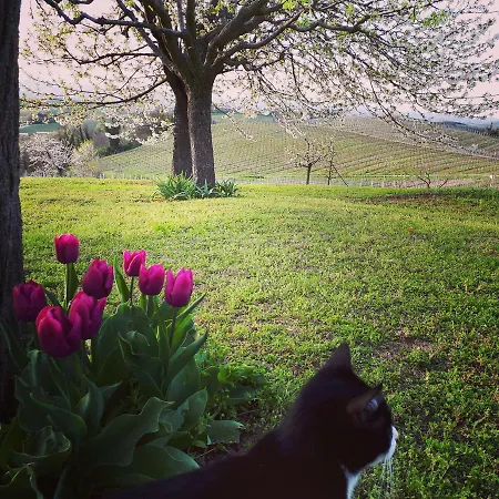 Casa Lucesole Fontanile