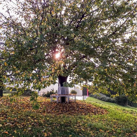 Casa Lucesole Kır Evi